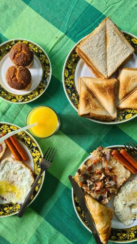 a green table with plates of food on it at Sigiri Corridor Home Stay in Sigiriya