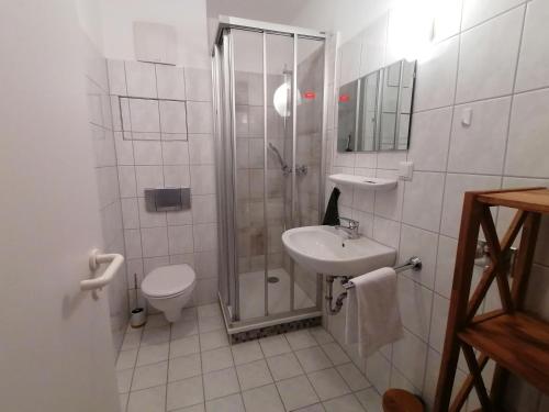 ein Badezimmer mit Dusche, Toilette und Waschbecken in der Unterkunft 2 Raum Wohnung Morgensonne mit Balkon in Ostseebad Sellin