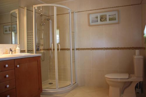 une salle de bain avec une douche, des toilettes et un lavabo dans l'établissement Gîte Maison de Sophie, à Saint-Aignan