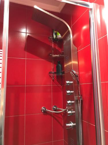 a red bathroom with a shower with a red wall at Apartament in Aridaia