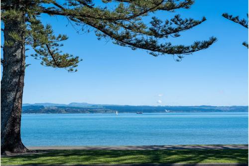a view of the water from a tree at Beachfront Villa in Napier
