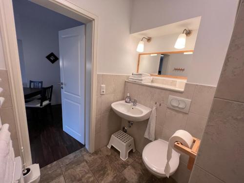ein Badezimmer mit einem Waschbecken, einem WC und einem Spiegel in der Unterkunft Leuchtfeuer Fewo "Kimberly" in Börgerende-Rethwisch
