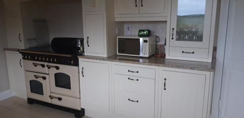 a kitchen with white cabinets and a stove and a microwave at SHALOM - IN THE HEART OF THE LAKES in Arvagh