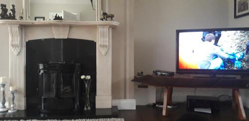 a living room with a television and a fireplace at SHALOM - IN THE HEART OF THE LAKES in Arvagh