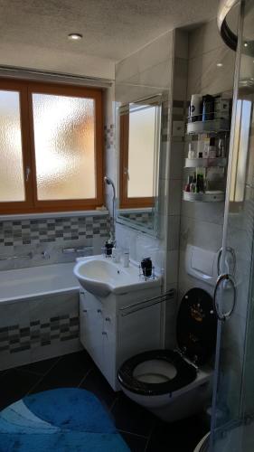 沙夫豪森的住宿－Schaffhausen Munot，浴室配有盥洗盆、卫生间和浴缸。