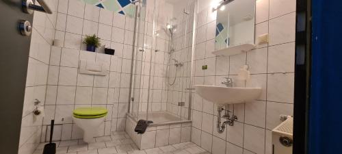 bagno con servizi igienici verdi e lavandino di Harz Hostel a Wernigerode