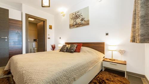 a bedroom with a large bed and a mirror at Harmony Apartment in Silver Mountain in Poiana Brasov
