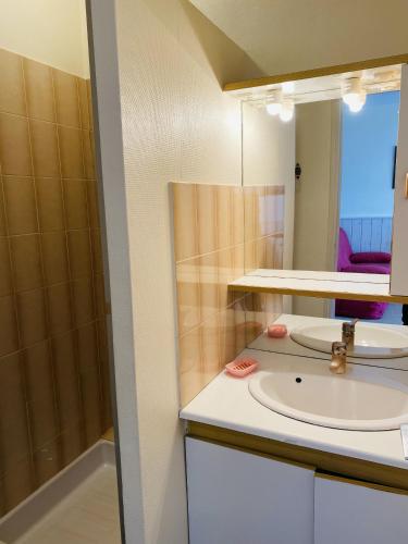 une salle de bain avec un lavabo et un miroir dans l'établissement BEAUMER - Men Dû, Parking, Wifi - UD96, à Carnac