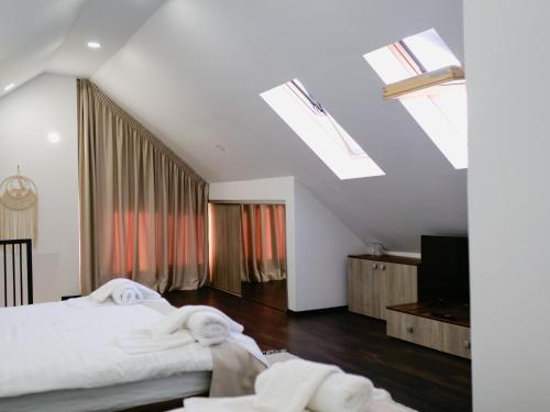 a bedroom with two beds and a television and skylights at Casa YDA in Horezu
