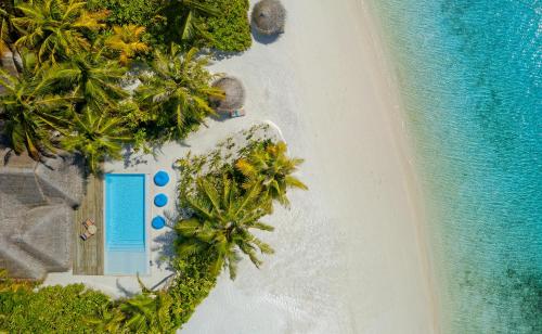 a beach area with a beach umbrella and palm trees at Anantara Dhigu Maldives Resort in Gulhi