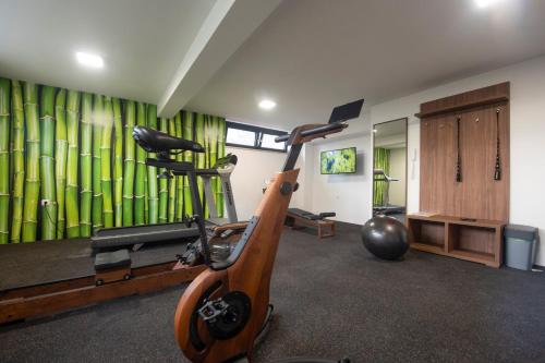 a room with a gym with a treadmill at Villa Marija in Sveti Filip i Jakov