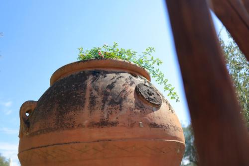 an old vase with a plant on top of it at Agriturismo Villa Guarnaschelli in Scandicci