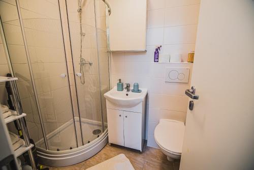 a bathroom with a shower and a sink and a toilet at Studio CENTER in Zgornje Jezersko
