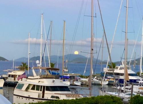 a group of boats docked in a harbor with the moon in the background at Sapphire Beach Villa Ocean and Marina View in St Thomas