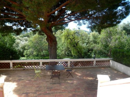 a patio with a table and chairs under a tree at Apartment Castel Haussmann-1 by Interhome in Cavalaire-sur-Mer