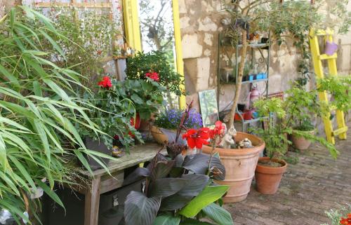 a bunch of potted plants and flowers on a patio at Les petites Mirabelles in Noyers-sur-Cher