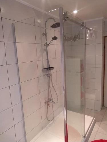 y baño con ducha y puerta de cristal. en Ferienwohnung an der Ruwer, Trier, en Trier