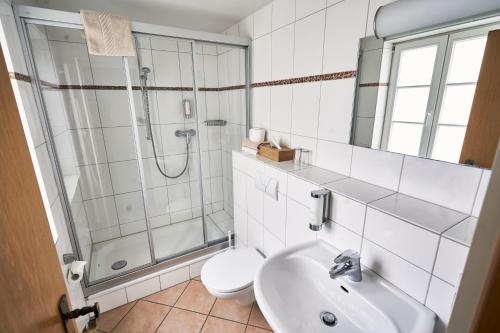 La salle de bains est pourvue d'une douche, de toilettes et d'un lavabo. dans l'établissement Gästehaus Korf, à Unkel