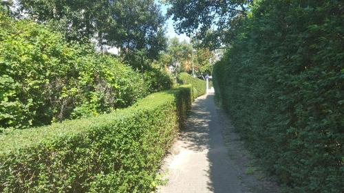 Κήπος έξω από το Nieuw app met tuin en terras, gratis parking, aan zee, vlakbij Brugge