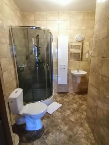 a bathroom with a toilet and a shower and a sink at Karczma Karnasów in Cisna