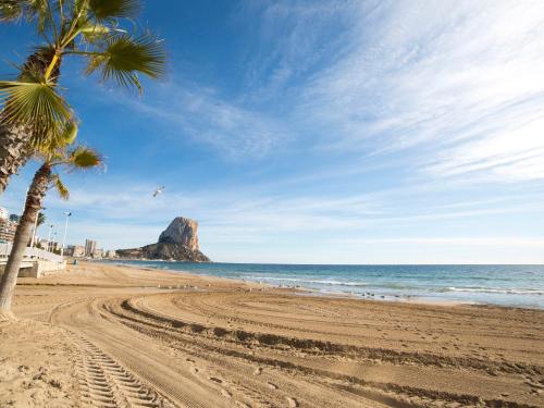 a beach with a palm tree and the ocean at Studio Arenal 03 by Interhome in Calpe