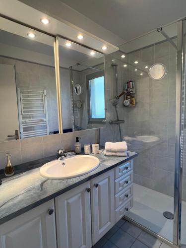 uma casa de banho com um lavatório e um espelho em Superbe 3 pièces vue mer sur les Sanguinaires em Ajaccio