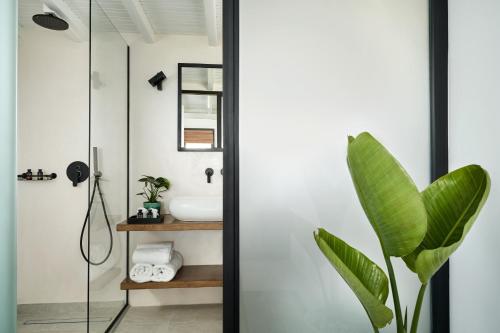a bathroom with a glass shower door and a plant at Almyra Guest Houses in Paraga
