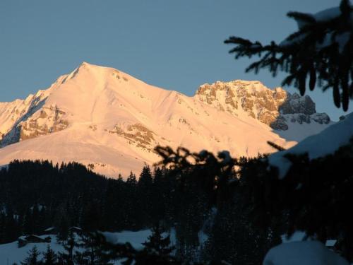 a snow covered mountain with trees in front of it at Apartment Bärgchutzli Parterre by Interhome in Adelboden