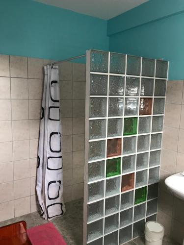 a bathroom with a shower with glass blocks on the wall at L'Escale du Mouillage in Saint-Pierre