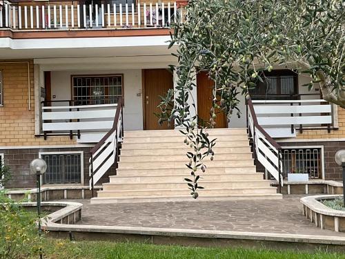 Mostacciano Roma IFO