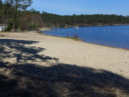 une grande ombre d'un arbre sur la rive d'un lac dans l'établissement Holiday Home Club de la Voile by Interhome, à Le Moutchic