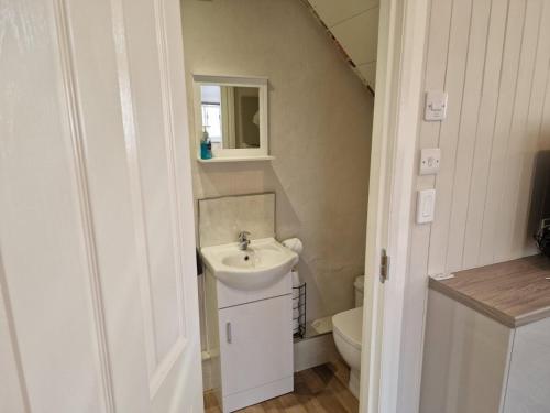 a small bathroom with a sink and a toilet at Carlisle Central, Cute Studio Appt, The Cupboard in Carlisle