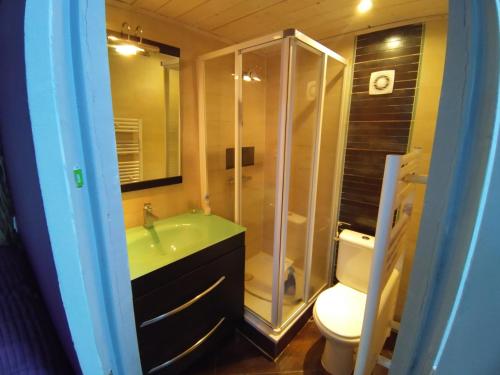 W łazience znajduje się prysznic, umywalka i toaleta. w obiekcie Ty Vihan w mieście Plouguerneau