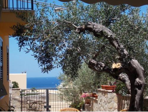 Modus B&B – Ritratti 2