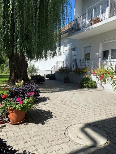 ein Baum und Blumen vor einem Gebäude in der Unterkunft Gästehaus & Weingut Klein in Illmitz