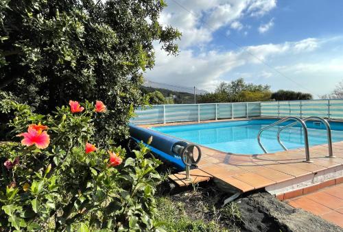 a swimming pool with a bench next to some flowers at Casa Adassa in El Paso