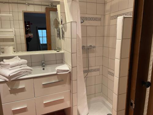 a bathroom with a sink and a shower with a mirror at Hostellerie Provençale in Uzès