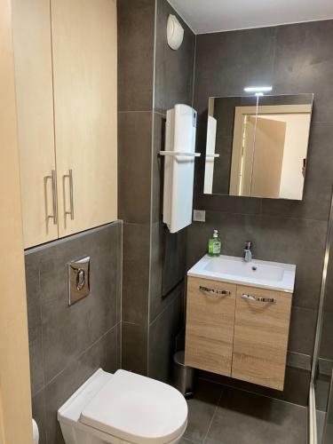 een badkamer met een toilet, een wastafel en een spiegel bij Charmant studio à Haguenau, à 25mn de Strasbourg in Haguenau