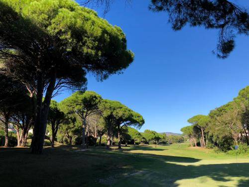 a view of a park with trees and grass at Villa Golf Azur in Saint-Raphaël