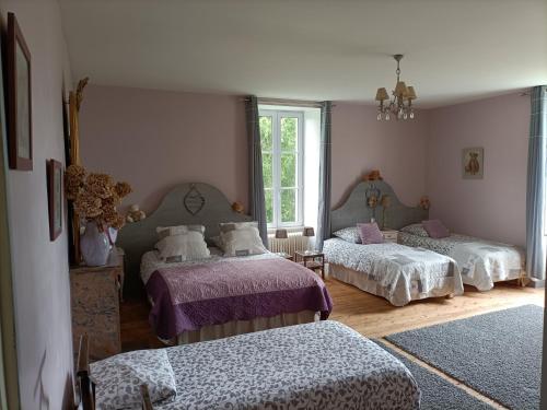 a bedroom with two beds and a window at Le Manoir "Aux Douves" in Bazoges-en-Paillers