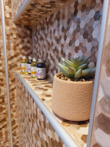 a shelf with a potted plant and jars on it at Room and Apartments Antea in Rovinj