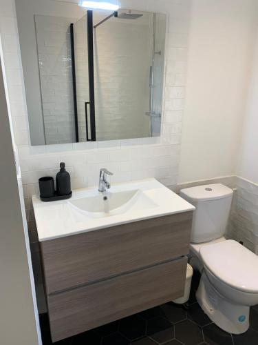 une salle de bain avec un lavabo et des toilettes dans l'établissement Arles : maison de ville a deux pas de tour Luma, à Arles