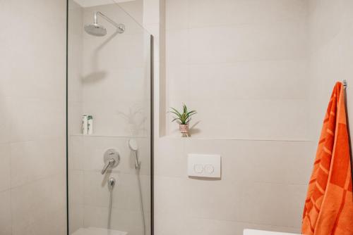 d'une douche avec une porte en verre et une plante. dans l'établissement Cozy apartment GALA, à Split