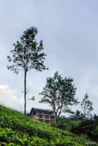 a building on top of a hill with two trees at Vantage hills Haputale in Haputale