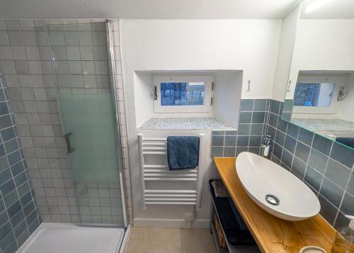 een badkamer met een wastafel en een douche bij La Terrasse - A Peaceful Place in the Forest in Concots