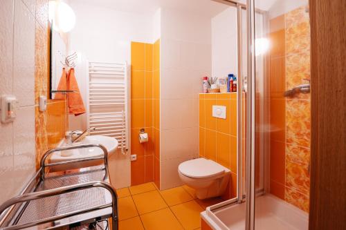 Kúpeľňa v ubytovaní Lipno nad Vltavou - Apartman 23 - WiFi, Parking, Netflix