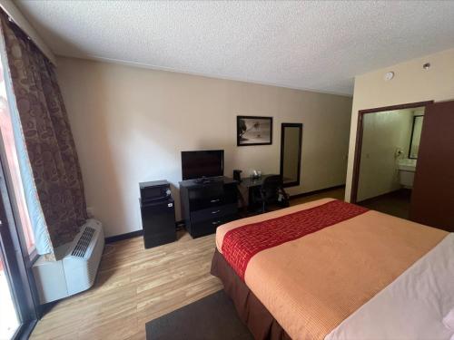 Gallery image of Tropical Palms Hotel in Clearwater