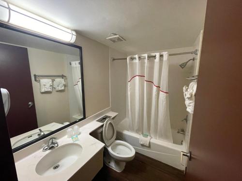 Gallery image of Tropical Palms Hotel in Clearwater