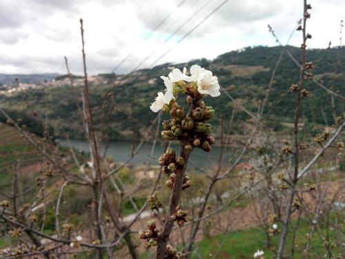 Φυσικό τοπίο κοντά σε αυτή η παραθεριστική κατοικία