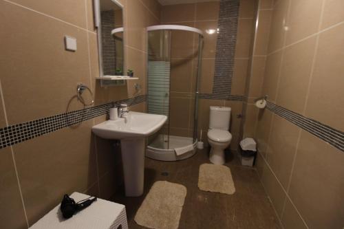 a small bathroom with a sink and a toilet at Pegaz009**** in Vrnjačka Banja